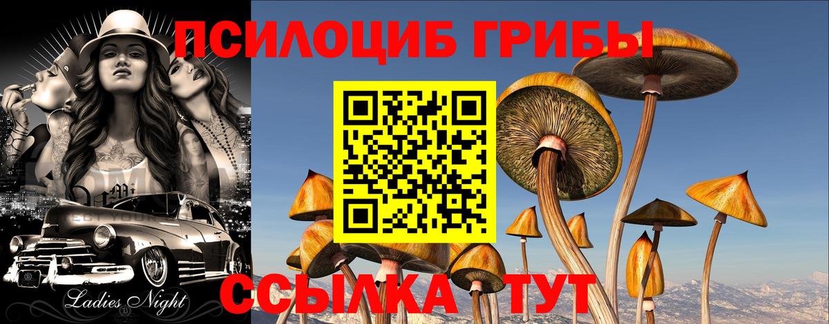 Губаха  Псилоцибиновые грибы GOLDEN TEACHER  купить закладку  Псилоцибиновые грибы мицелий  Вход с VPN 